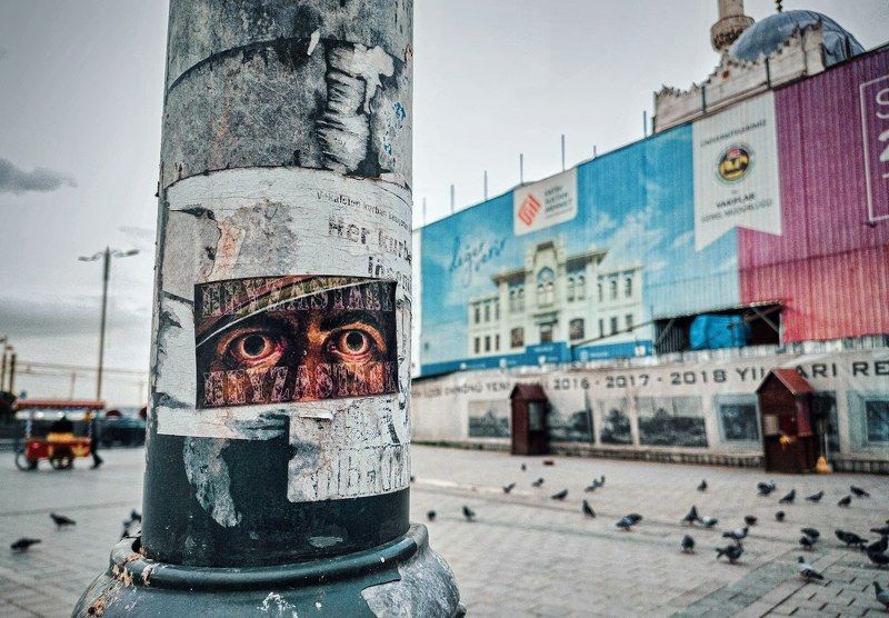 Lookoutphoto preview