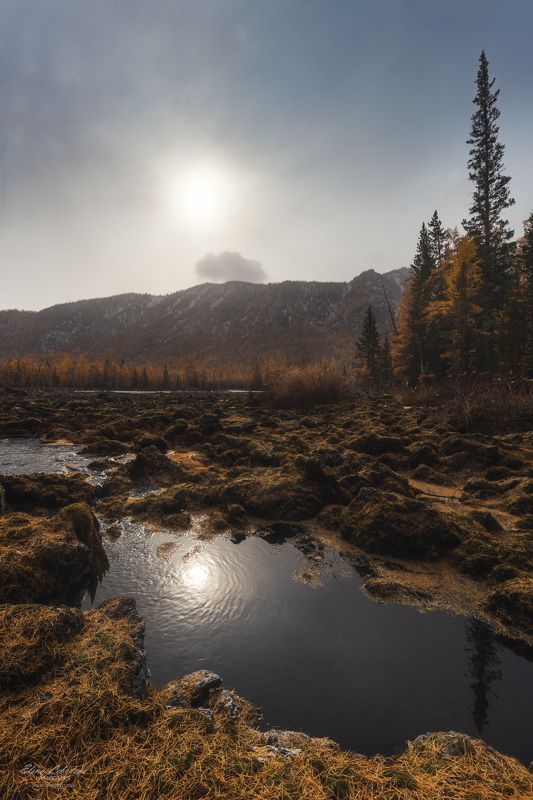бурятия, сибирь, россия, осень, лавовое_озеро, лиственницы, природа, пейзаж Улыбка осени/ Autumn smilephoto preview