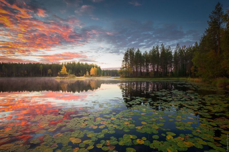 Карелия, оз. Лебяжьеphoto preview