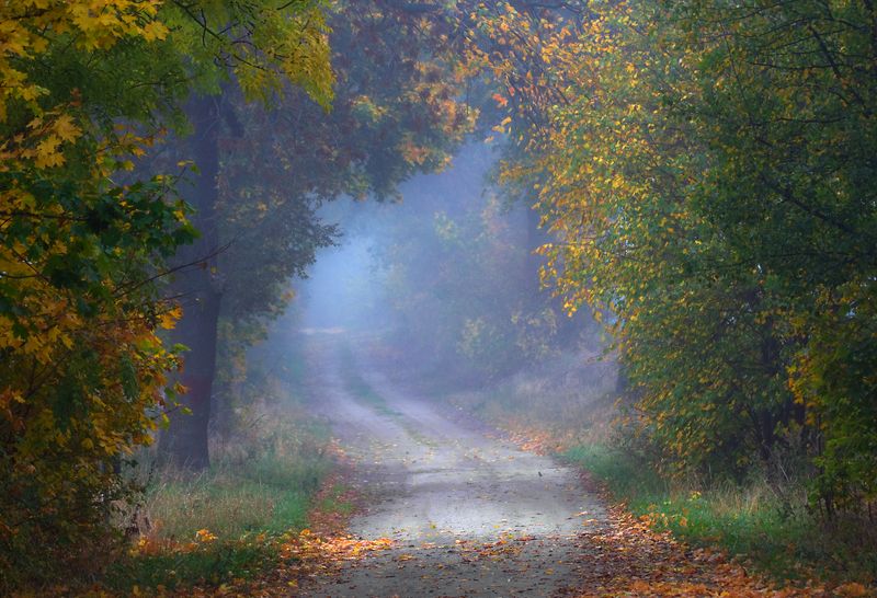 alley...photo preview