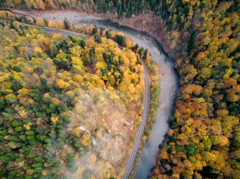 пейзаж, осень, дорога, аэрофотосъемка, река, лес, landscape, autumn, road, aerial photography, river, forest photo preview