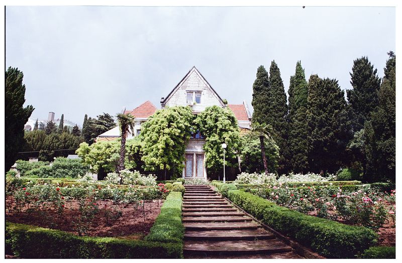 плёнка photo preview