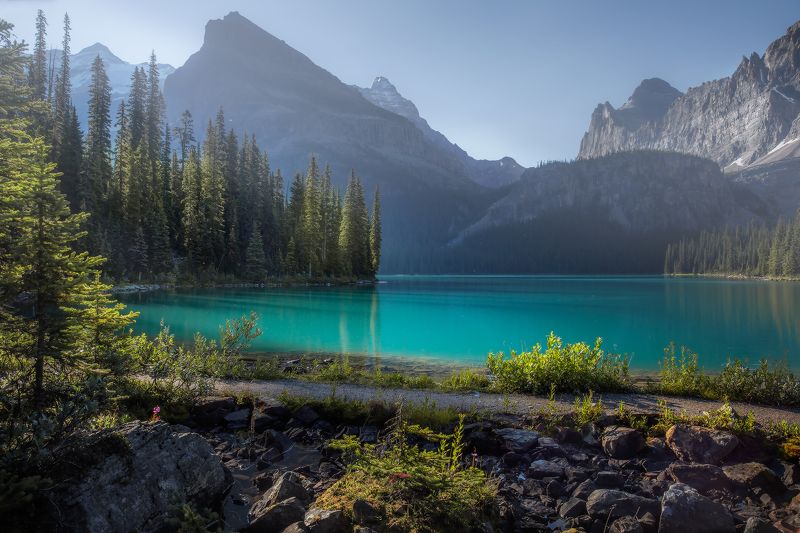 canada, rockies, ohara, bugs, light water, turquoise МОШКАphoto preview