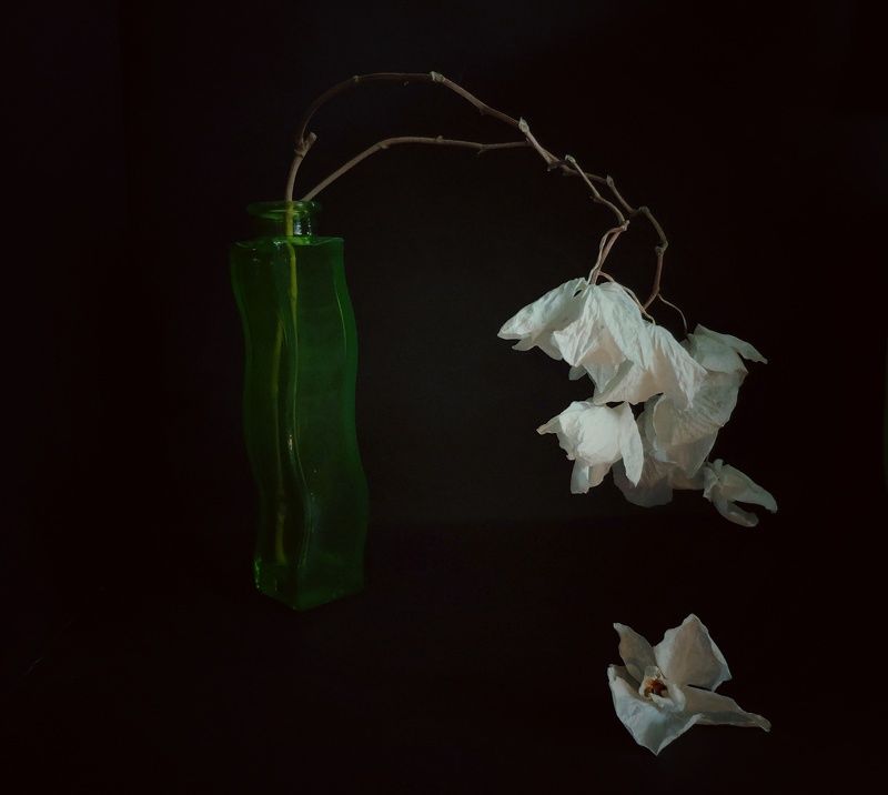 Уморени цветяphoto preview