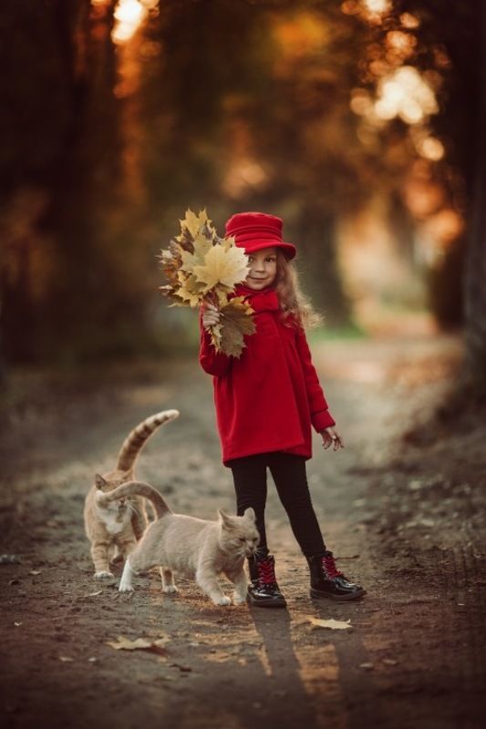 девочка, ребенок, портрет, осень, кот Котами фото не испортишь ;)photo preview