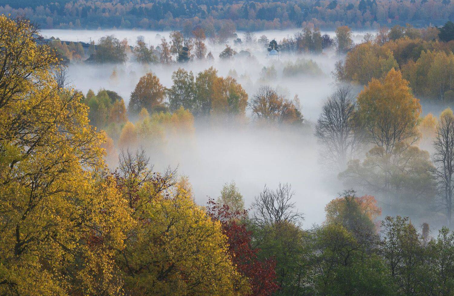 Истринская осень. Автор: Виталий Левыкин истра, осень, пейзаж, рассвет, Виталий Левыкин
