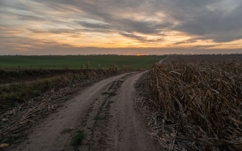 скоро-холода...photo preview