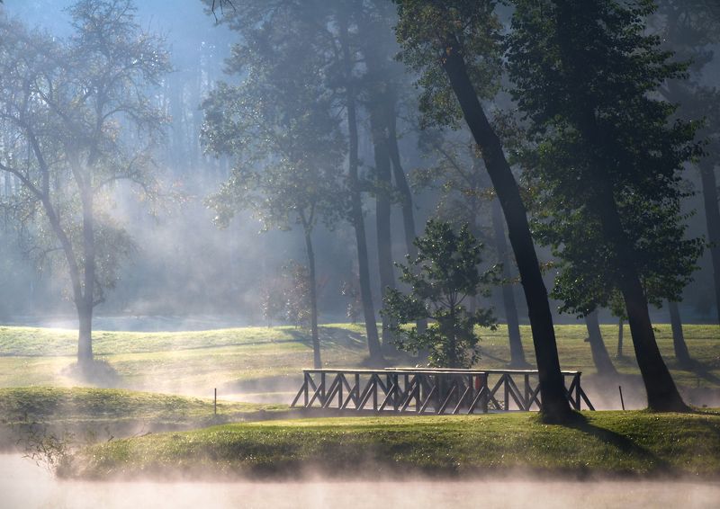 morning in the park...photo preview