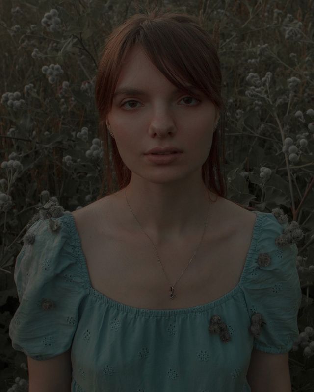 Репейникphoto preview