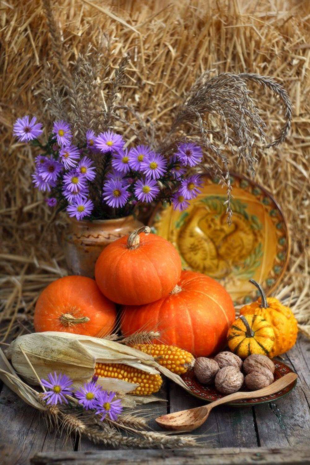 Октябрь. Автор: Петриченко Валерий октябрь, осень, тыква, Петриченко Валерий