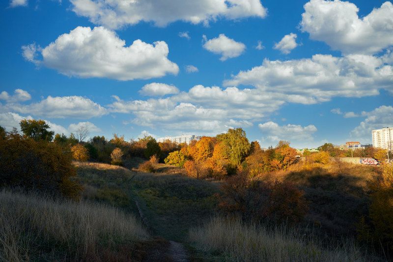 природа, осень, пейзаж,облака Осенние денькиphoto preview