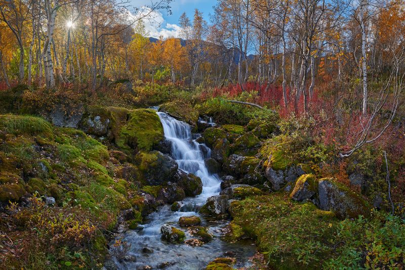 Краски северной осениphoto preview