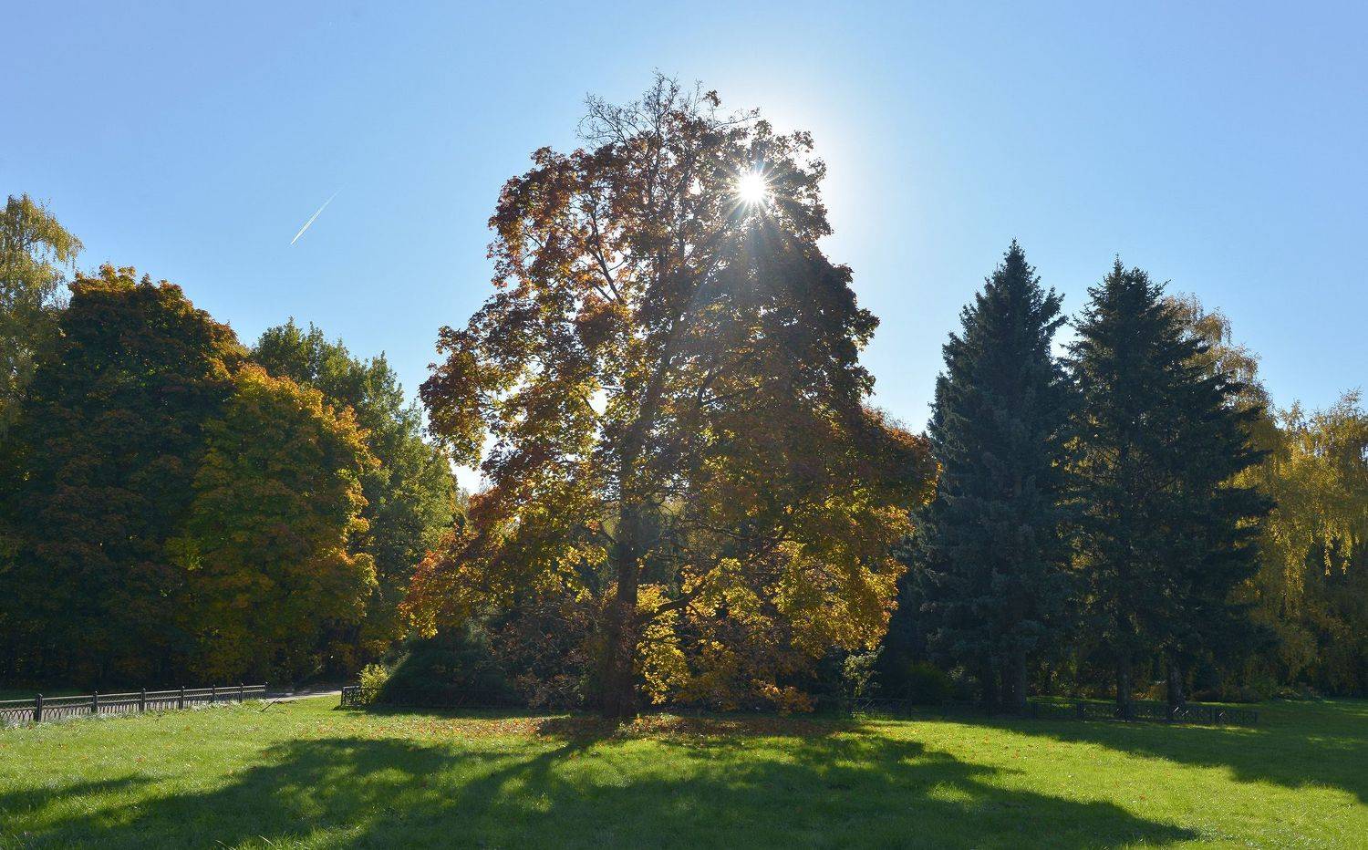 ботанический сад, осень, Сергей Седов