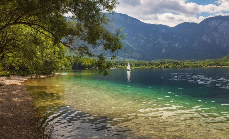 словения, горы, озеро, бохиньское, лодка, парус, берег, деревья, Белеет парус одинокий ...photo preview