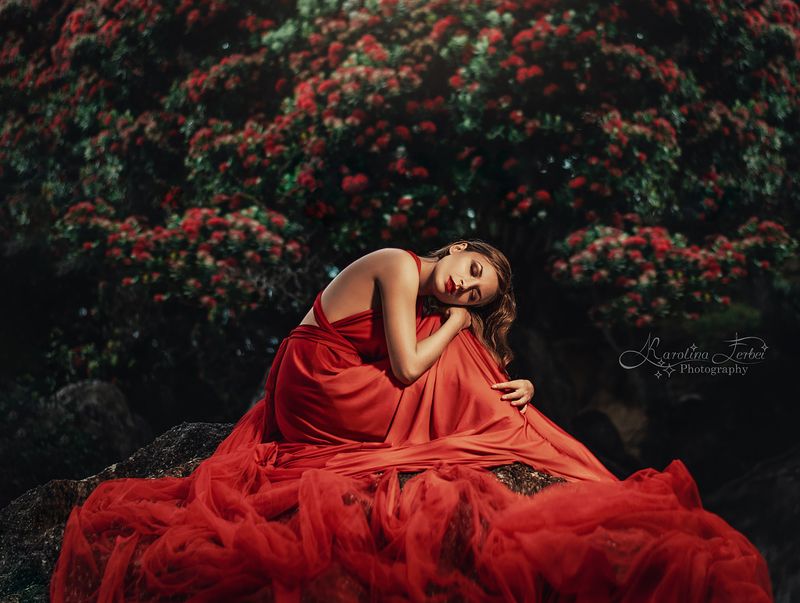 light, dress, makeup, magic, fine art, художественная фотография, red Pohutukawa dreamsphoto preview