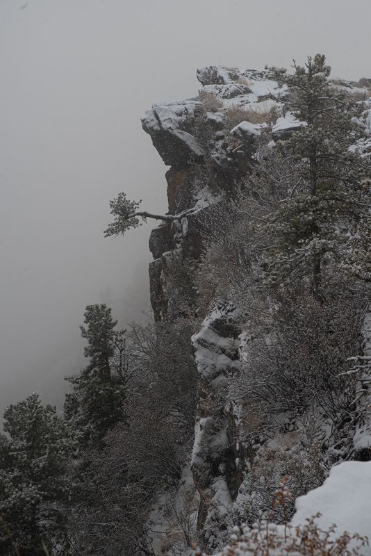 landscape, nature, fog утро на перевале Кату-Ярык, Алтайphoto preview