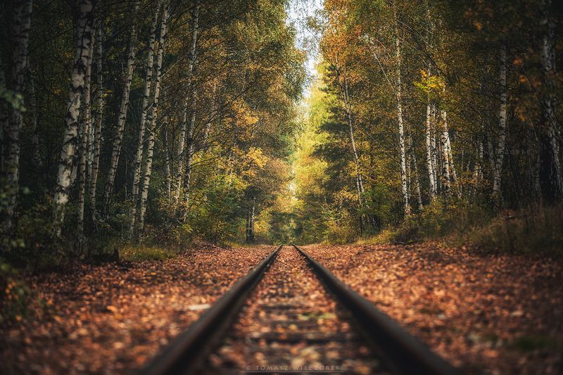 landscape, poland, light, autumn, awesome, amazing, sunrise, sunset, lovely, nature, travel, trees, railroad, leaves, colors, forest Infinityphoto preview