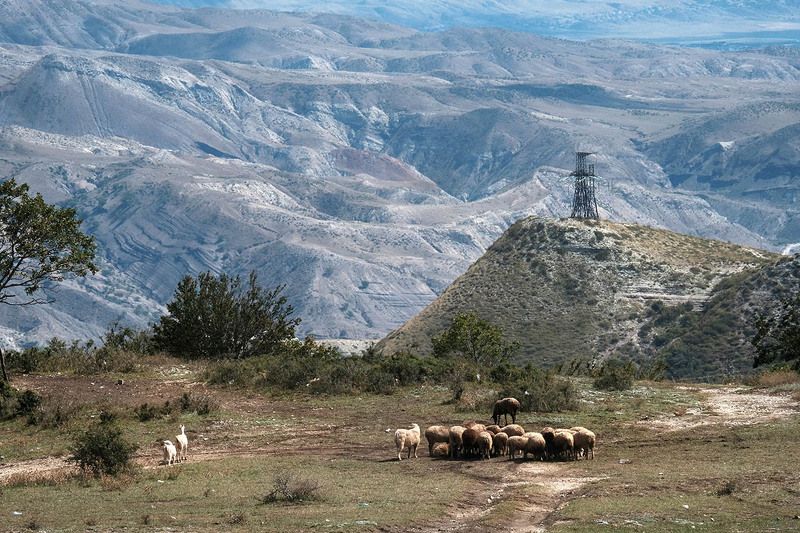 Дагестан ***photo preview