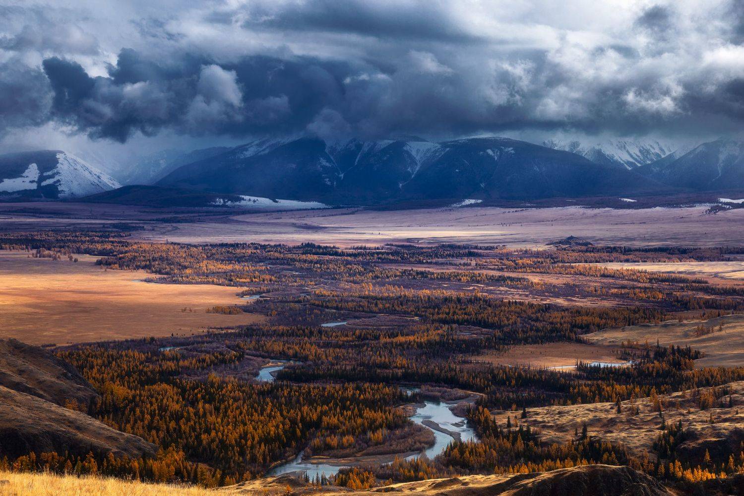 , Юрий Столыпин