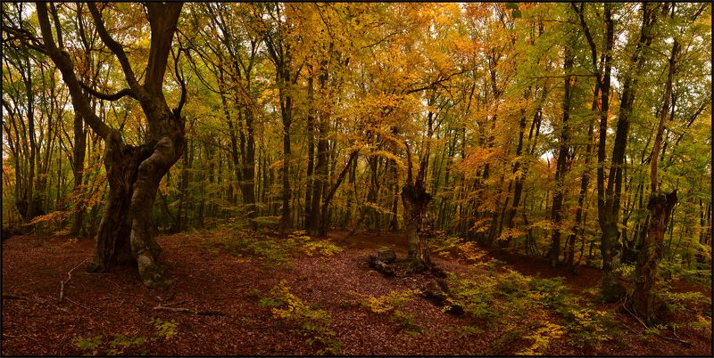 Где-то на Демерджи фото превью