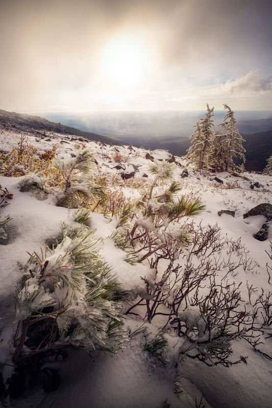серебрянка, серебрянский камень, урал, северный урал, осень, рассвет, утро Между осенью и зимойphoto preview