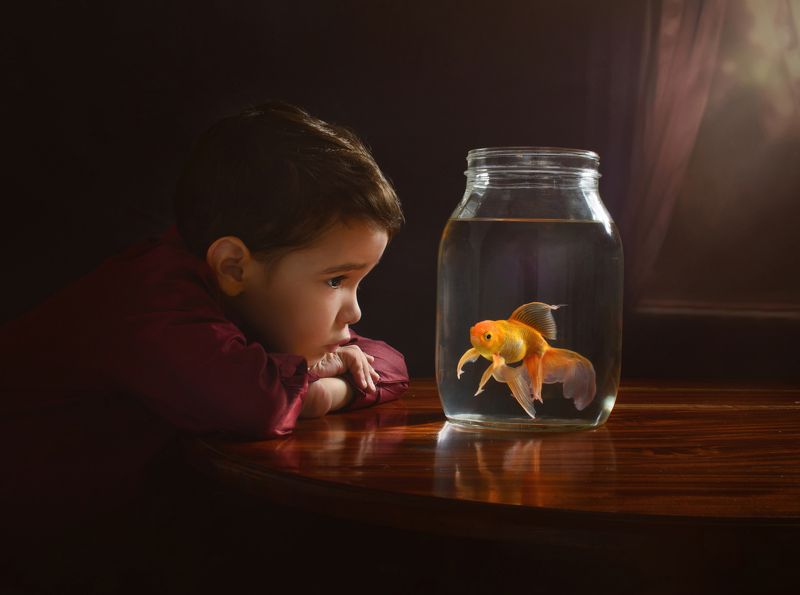 #yanetfotografia Pedrito y su Goldfish.photo preview