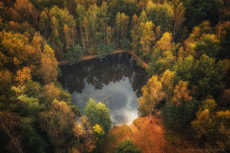 landscape, poland, light, autumn, awesome, amazing, sunrise, sunset, lovely, nature, travel, drone, trees, orange, shadows, dji, forest, square Magic squarephoto preview