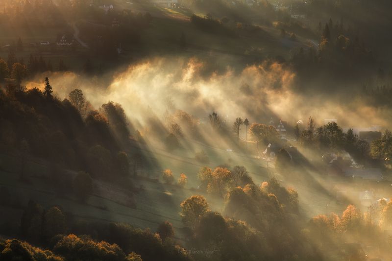 Morning. фото превью