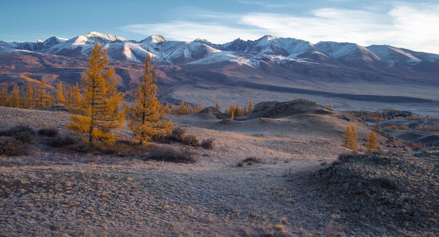 Курайская степь начало октября. Автор: Андрей Хаймин , Андрей Хаймин