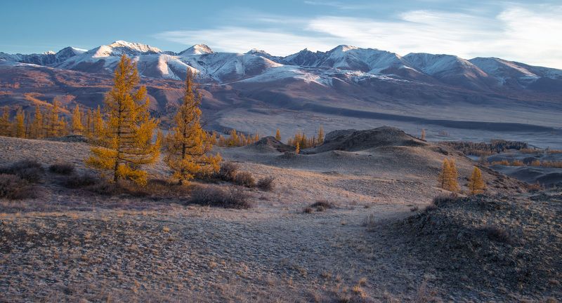 Курайская степь начало октябряphoto preview