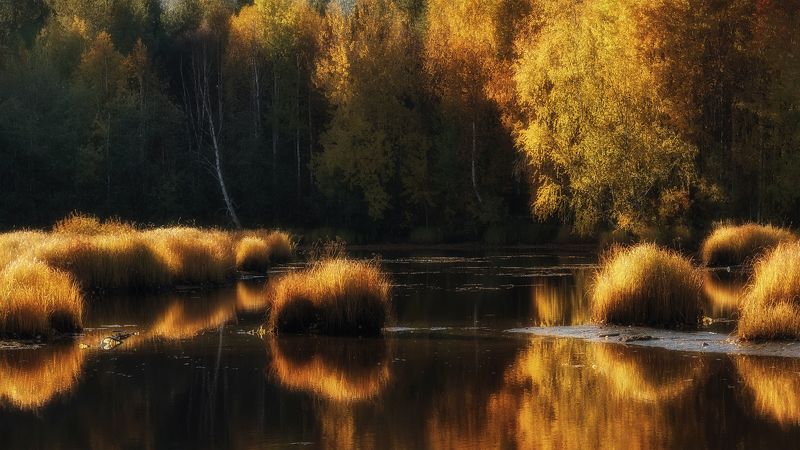 Догорает осеньphoto preview