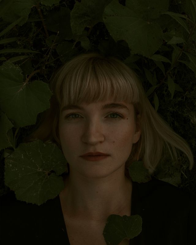 Листьяphoto preview