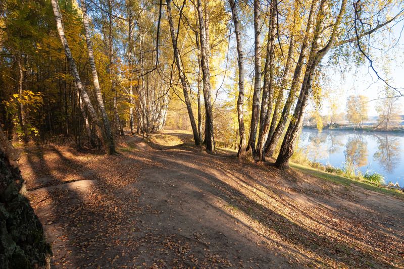 рассвет, утро, пейзаж, туман, река, природа, осень, золотая осень, золото, березы, листва, подмосковье, московская область, Подмосковная осеньphoto preview