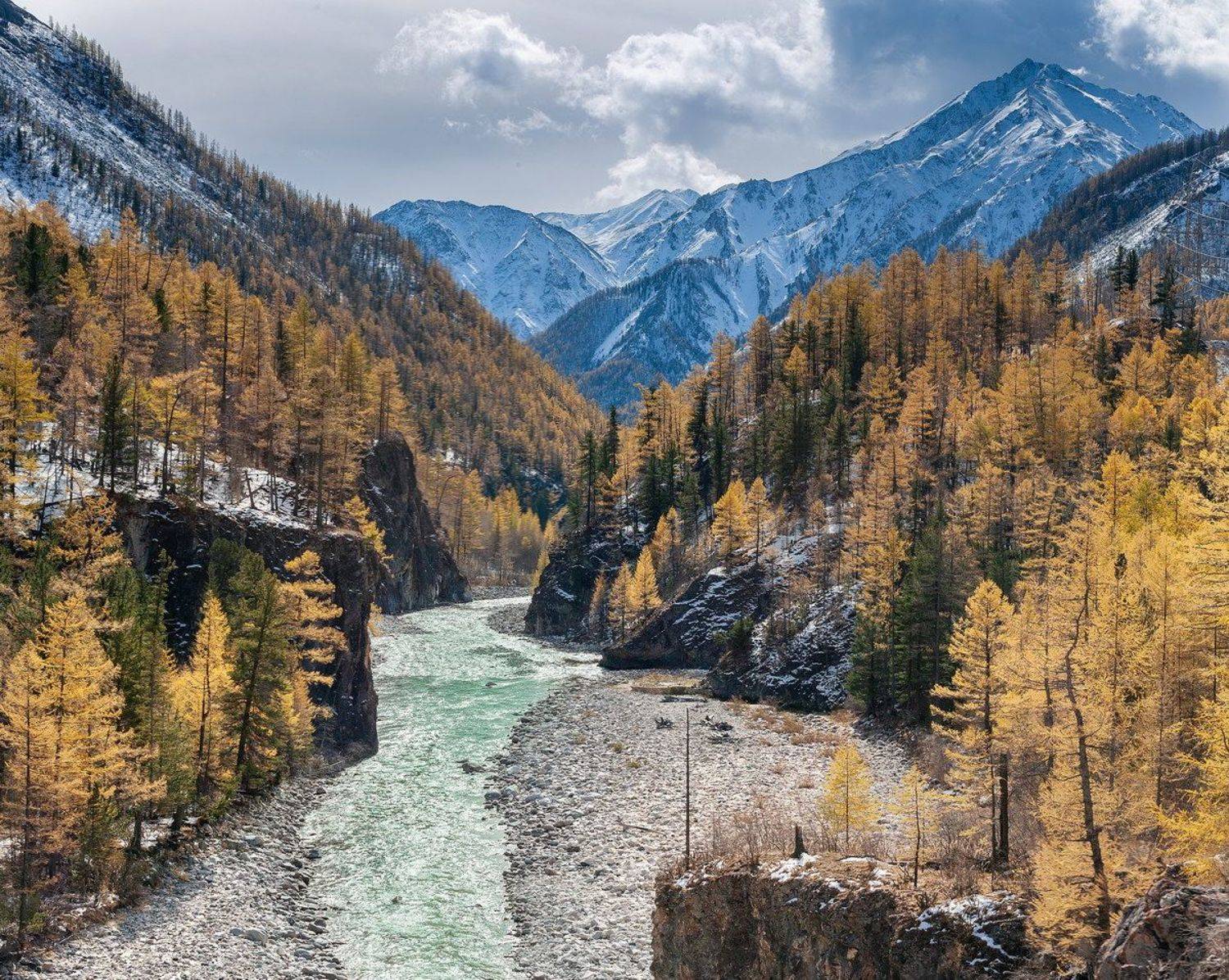 , Алексей Трофимов