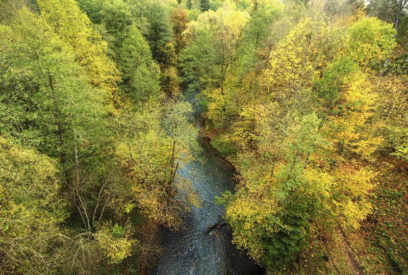 Осень в Краснолесье.photo preview