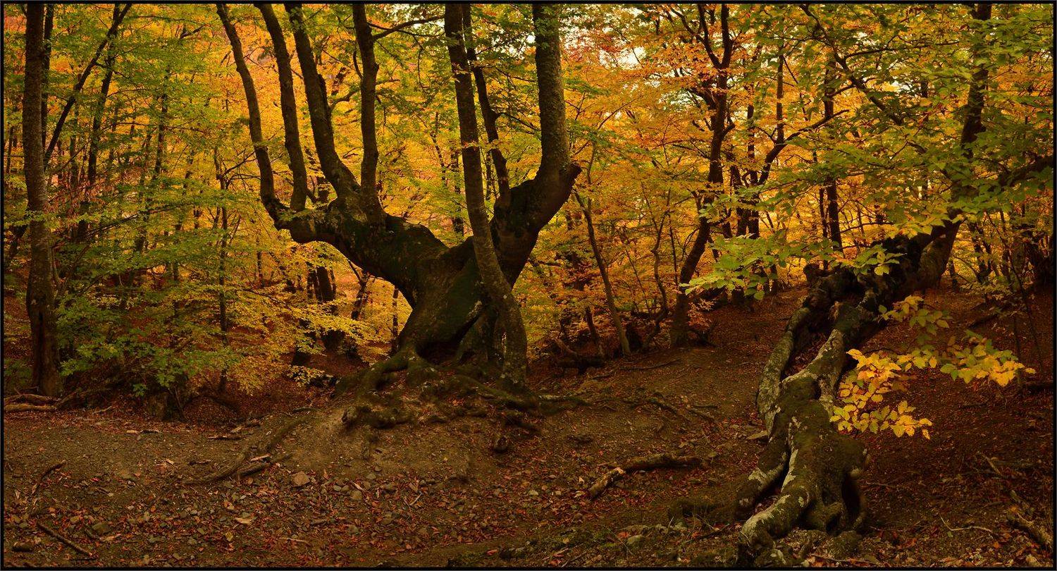Автор: Владимир Метцгер , Владимир Метцгер