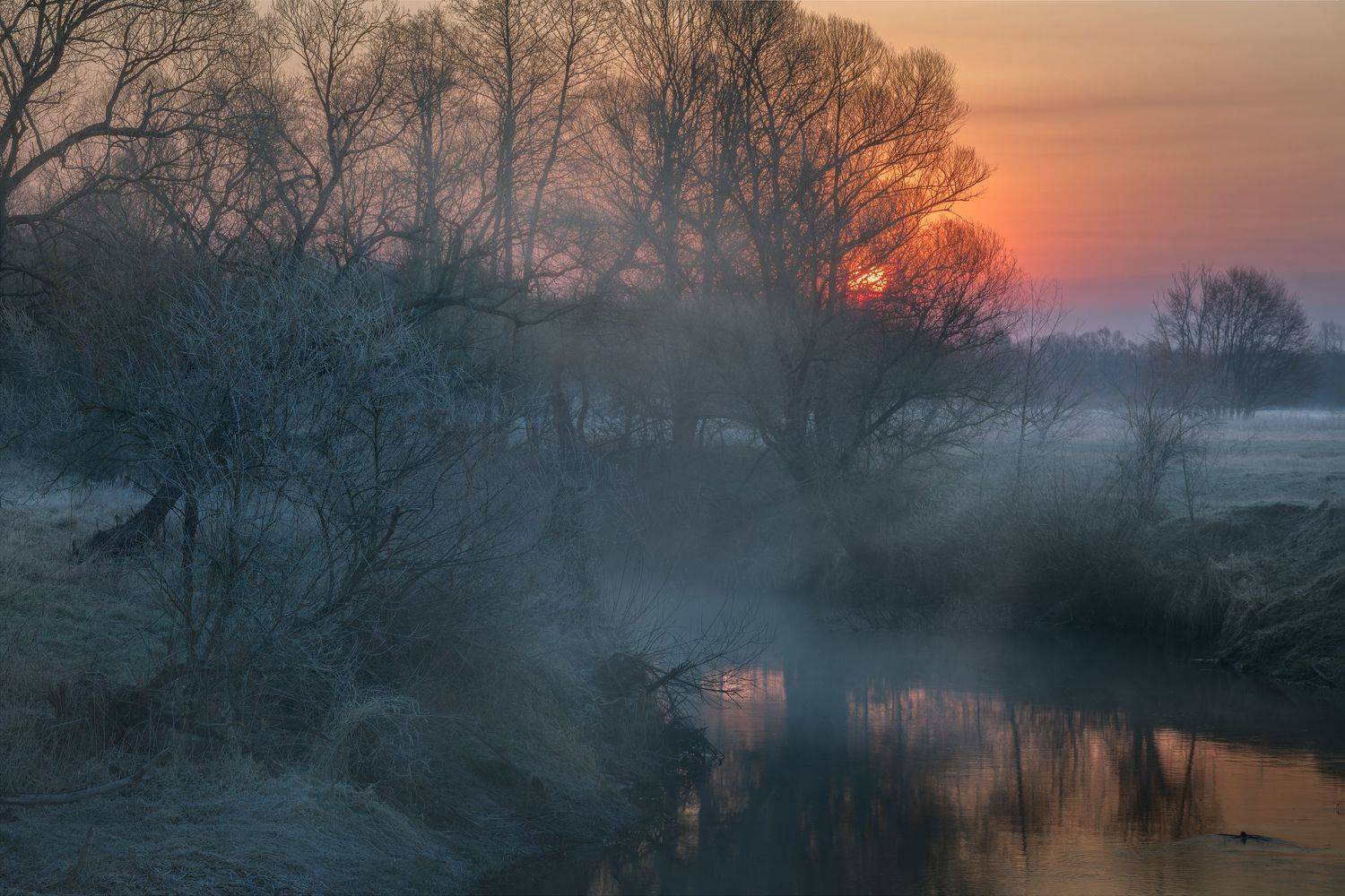 , Николай Носов