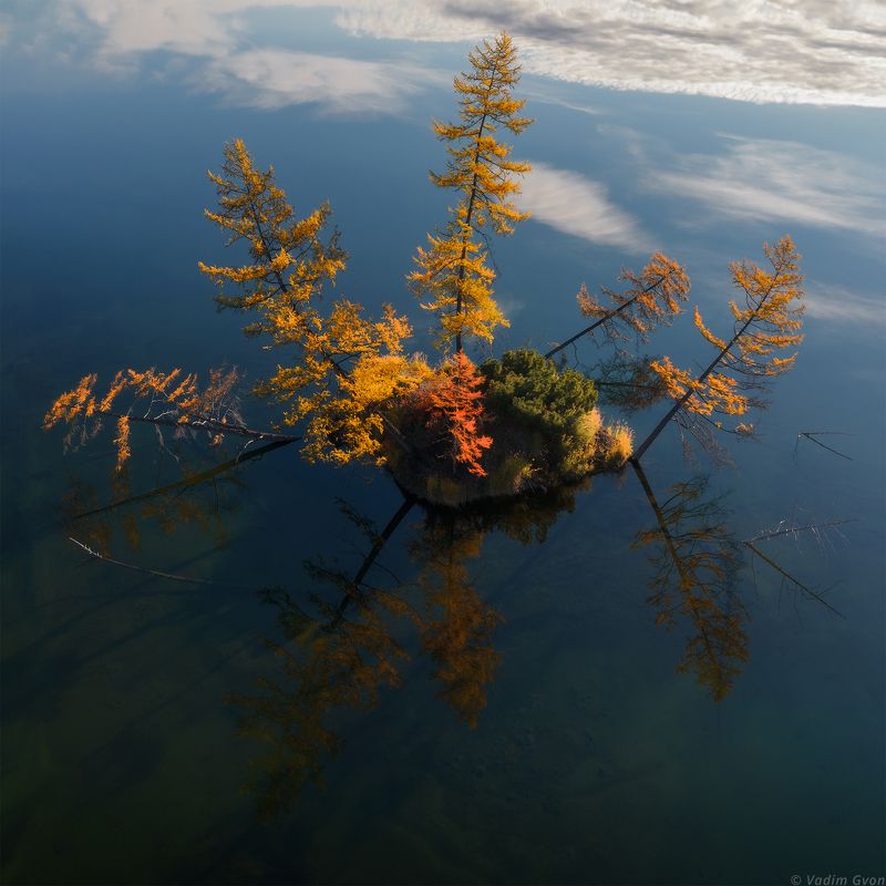 озероджекалондона, магадан, колыма Колымский ежикphoto preview