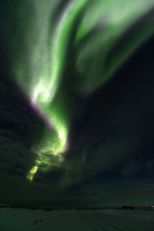 чукотка, арктика, чукотское море, льды, зима, северное сияние, аврора, белые медведи, полярные медведи Вот и зима пришла в Арктику...photo preview