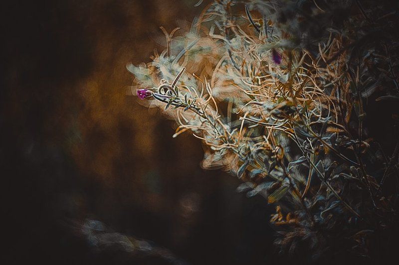 немного осениphoto preview