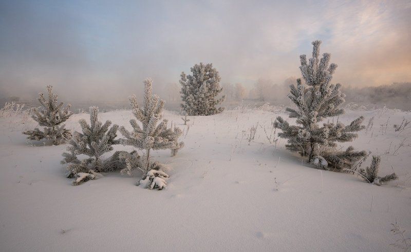 Зимняя сказкаphoto preview