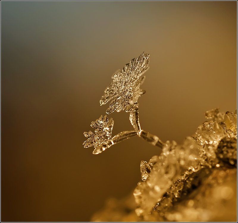 Так вот ты, какой...photo preview