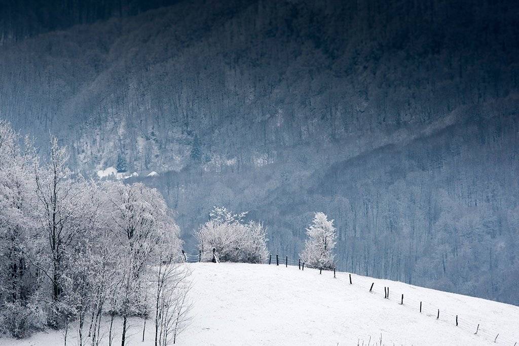 *******. Автор: Igor Sirbu , Igor Sirbu