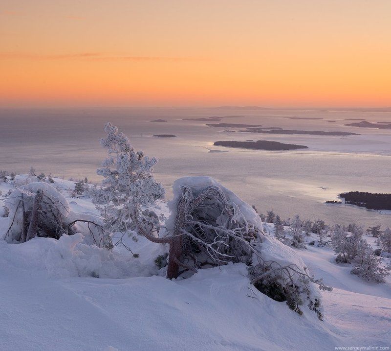 Закаленная ветрамиphoto preview