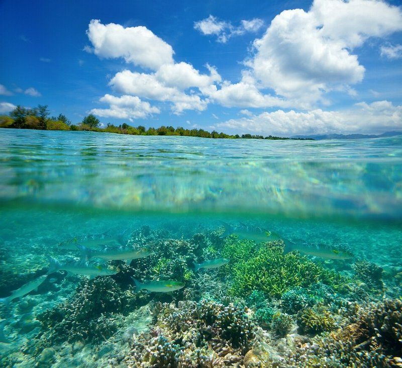 случайно мимо пролывали ...photo preview