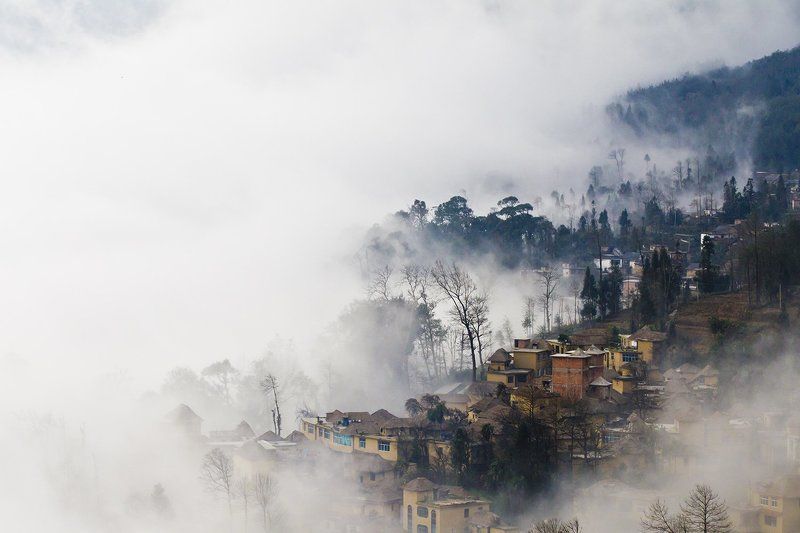 PARADISEphoto preview