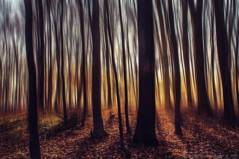 The Essence Between Us (Part.VIII.)photo preview