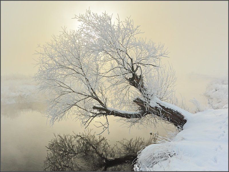 Морозный рассвет 2photo preview