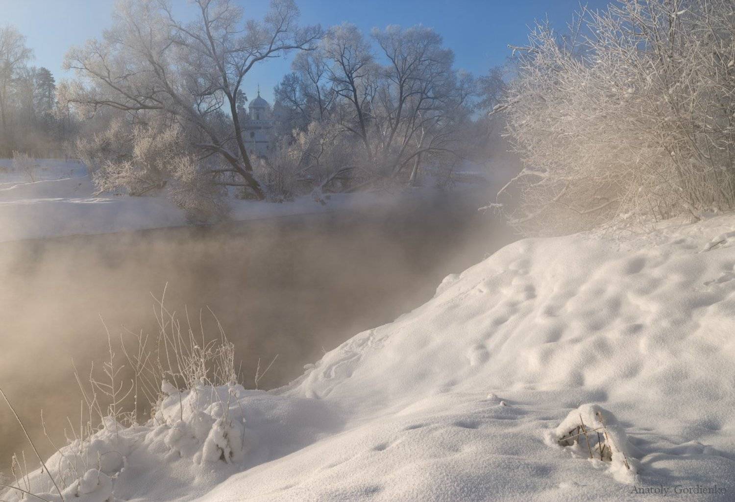 , Анатолий Гордиенко