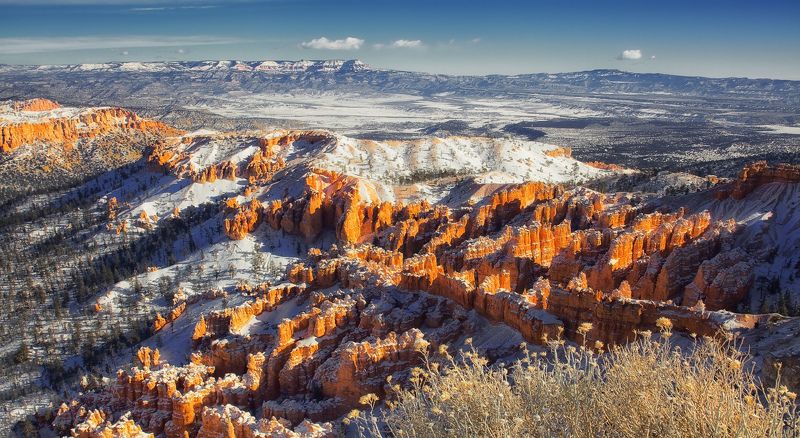 mc, usa, winter, bryce Рыжие морозыphoto preview